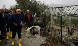 Muğla'da hortum kabusu: Üreticinin emeği yerle bir oldu