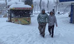 Dereceler eksi gösteriyor: Türkiye'nin en soğuk ili Bolu