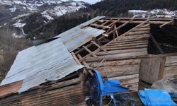 Giresun'da fırtına sera ve evlere zarar verdi