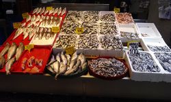 Fırtına etkisi: Fiyatlar aynı olsa da alıcı yok