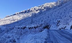 Ordu ve Tunceli’de eğitime 1 gün ara verildi