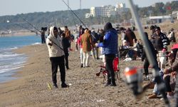 Kışın ortasında yaz keyfi: Antalya cenneti yaşıyor