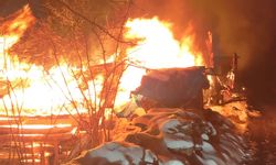 Ordu’da korkutan yangın! Ev ve samanlık kullanılmaz hale geldi