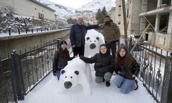 Tır şoföründen kardan sanat eseri!