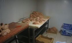 Merdiven altı tavuk parçalama tesisi mühürlendi