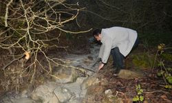 Bursa'da binlerce ton zehir toprağa karıştı!