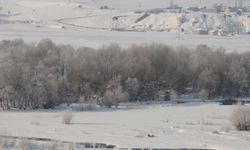 Sibirya soğuğu vurdu, her yer buz tuttu! Erzurum’da soğuklar yaban hayatı etkiledi