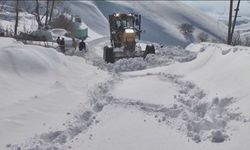 Türkiye karla boğuşuyor: 1106 yerleşim yeri kapandı