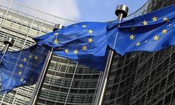 İspanya'dan Grönland mesajı: Avrupa konuşmayı bıraksın...