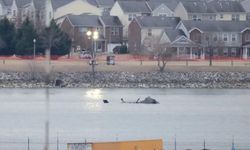 ABD'de 67 kişinin öldüğü uçak ile helikopterin çarpıştığı kazanın simülasyonu yayınlandı