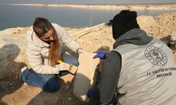 Adıyaman’da Göbeklitepe benzeri “T” taşları bulundu