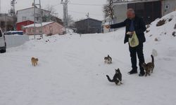 Adıyaman’da muhtar tek başına! Sokak hayvanları için köyü terk etmiyor!