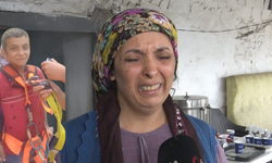 Lavaboya gidiyorum diye çıktı, bir daha dönmedi: 11 Yaşındaki Ali nerede?