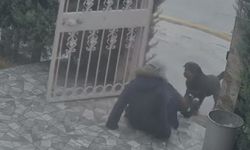 Ankara'da panik anları kamerada! Sokak köpekleri kadına kabusu yaşattı