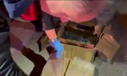 Antalya'da cephanelik gibi baskın: Yüzlerce ruhsatsız silah yakalandı