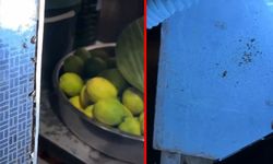 Bu kadarı da pes dedirtti! AVM'nin yemek katında mide bulandıran görüntüler