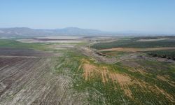 Manisa’da kuruyan Marmara Gölü yeniden canlanıyor