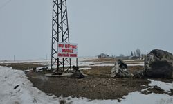 Bitlis'te kuduz alarmı: 1 köy karantinaya alındı