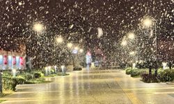 Edirne'de kar yağışı başladı