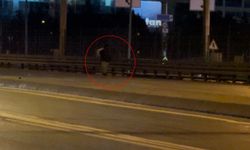 Beylikdüzü E-5'te tehlikeli yürüyüş! Trafiği birbirine kattı