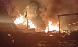 Ordu'da korkunç olay: Alevler sönünce ağaca asılı halde bulundu