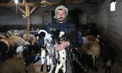 Erzincan’da besicilerin tatlı telaşı başladı