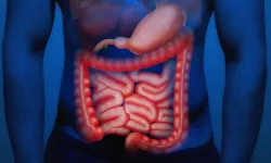 Sosyal medyadaki bağırsak detoksu trendi karaciğerinizi bitirebilir