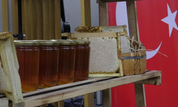 Dünyanın en pahalı balı Türkiye'de satıldı! Kilosu tam 558 bin lira