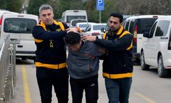 Kedi ezen sürücüye 'barınak' cezası!