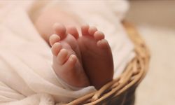 Rusya'daki hastanede 1 ayda 9 bebek öldü