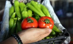 Türkiye pestisit ihlaline dünya ikicisi: En çok biber ve domates Avrupa'dan döndü