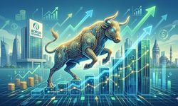 Yerli yatırımcının finansal varlıkları 2025'te rekor kırdı