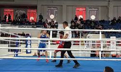Türkiye Ferdi Boks Şampiyonasına Kocaeli’de devam ediliyor