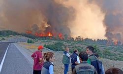 Bursa'da orman yangını çıkartmıştı! İstenen ceza belli oldu