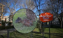 Çanakkale'de çocuk parkında mühimmat bulundu