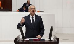 CHP’li Pala’dan sağlık yıllığı eleştirisi