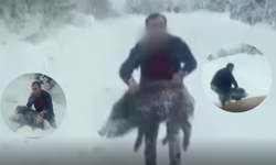 Yavru domuzu eliyle yakaladı, 15 bin TL ceza yedi