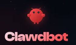 Yapay zeka dünyasını kasıp kavurdu! Clawdbot nedir?