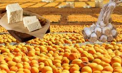 Coğrafi işaretli ürünler yerel ekonomiye değer katıyor