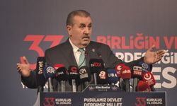 Destici'den terör sevicilerin eylemine tepki: O saç örgüsü Bozkurt'un yelesidir, çakalın, sırtlanın oyuncağı olamaz