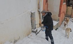 Erzincan'da "buz devri"! Termometreler eksi 32.7'yi gördü