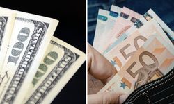 Dolar mı, euro mu? Dış ticarette para birimi dengeleri değişiyor