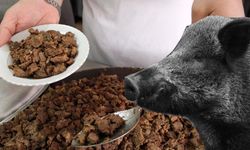 ‘Vatandaşlara domuz eti yedirdi’ iddiası: Tepki çeken olayla ilgili flaş açıklama