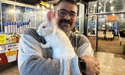 Elazığ’da kediden kurtarılan “Tombiş” kafenin maskotu oldu