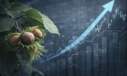 RONLY Gıda, FORTARA Yatırım bünyesine dahil oldu