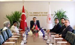 Türkiye-Nijer arasında kritik görüşme: Petrol ve madencilik hamlesi!