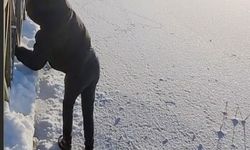 Yürekleri ağza getirdi: Buz tabakası kırıldı düşmekten son anda kurtuldu