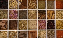 Güneydoğu Anadolu'nun hububat ihracatı arttı