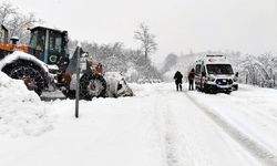 Giresun’da korkutan kaza! Karla mücadele aracı uçuruma yuvarlandı