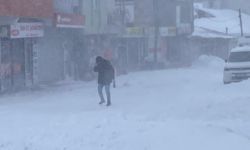 Karlıova'da kar hayatı felç etti: Ensaf kepenk indirdi!